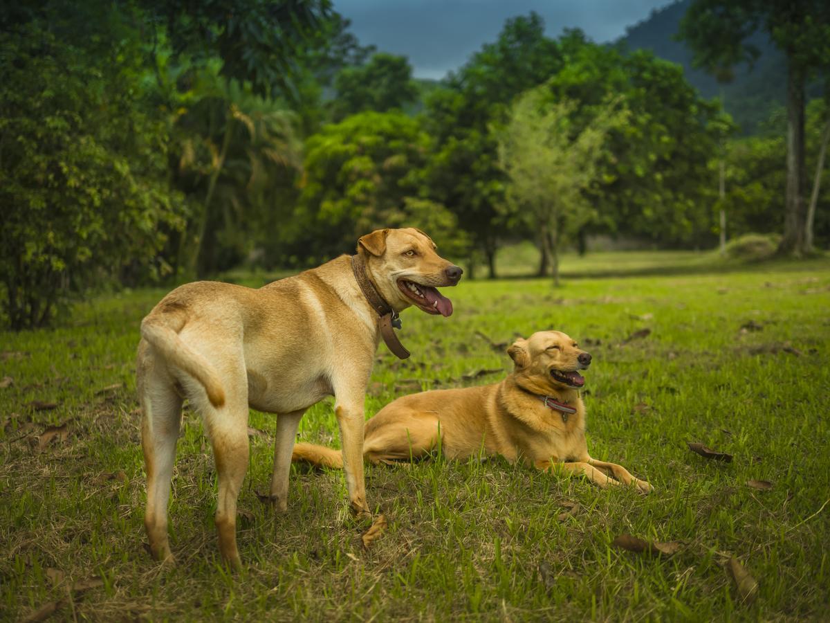Pousada Bem Viver Ubatuba Dış mekan fotoğraf